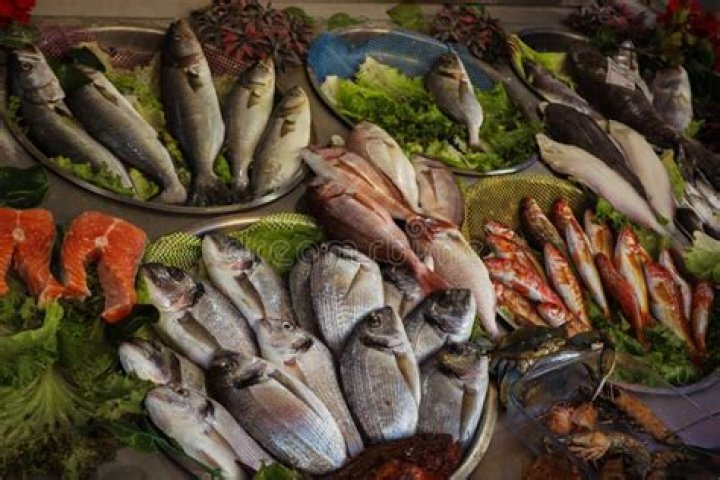 Do people fish in the Mediterranean sea?