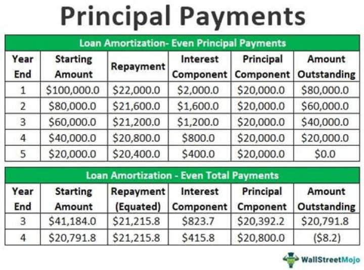 Do principal payments count as monthly payments?