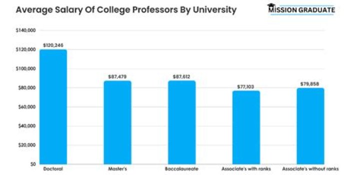 Do professors only get paid for 9 months?