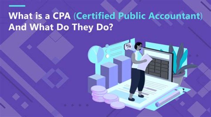 Do public accountants do budgeting?