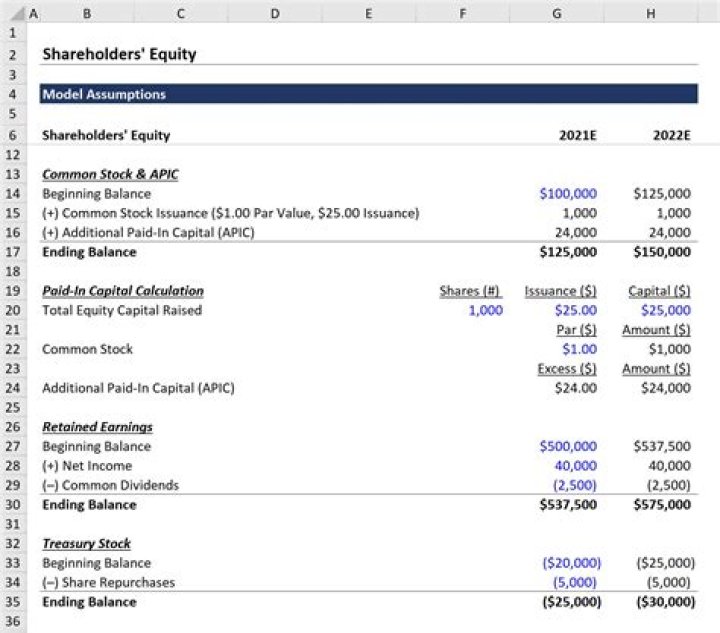 Do shareholders have capital accounts?