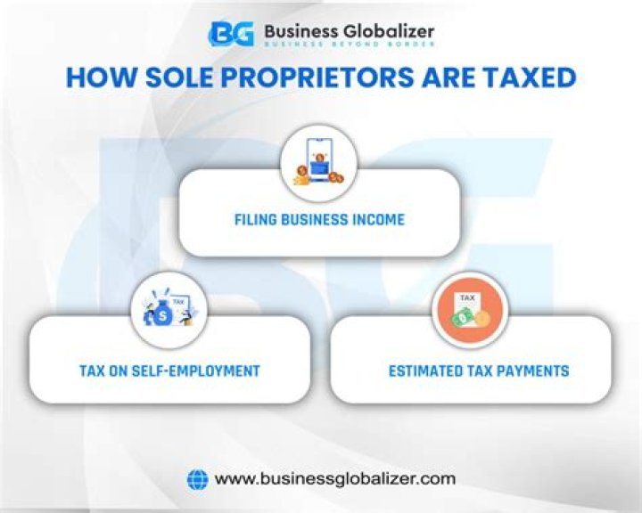 Do sole proprietors pay self employment tax and income tax?