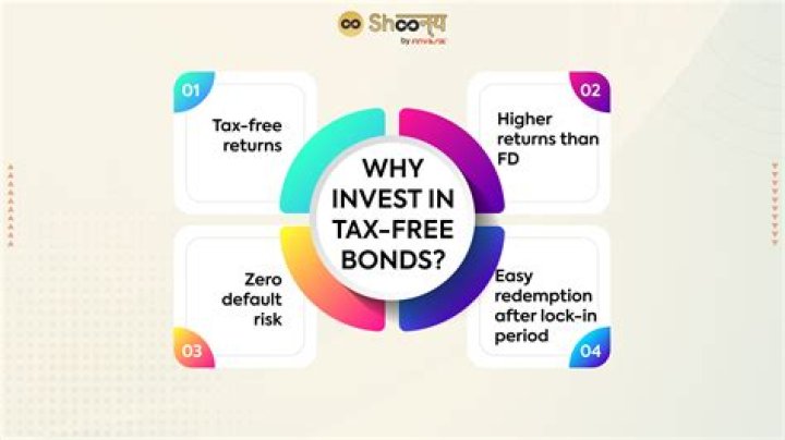 Do tax free bonds count as income?