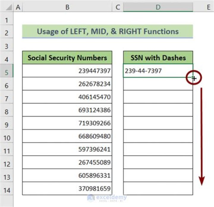 Do you enter SSN with dashes?
