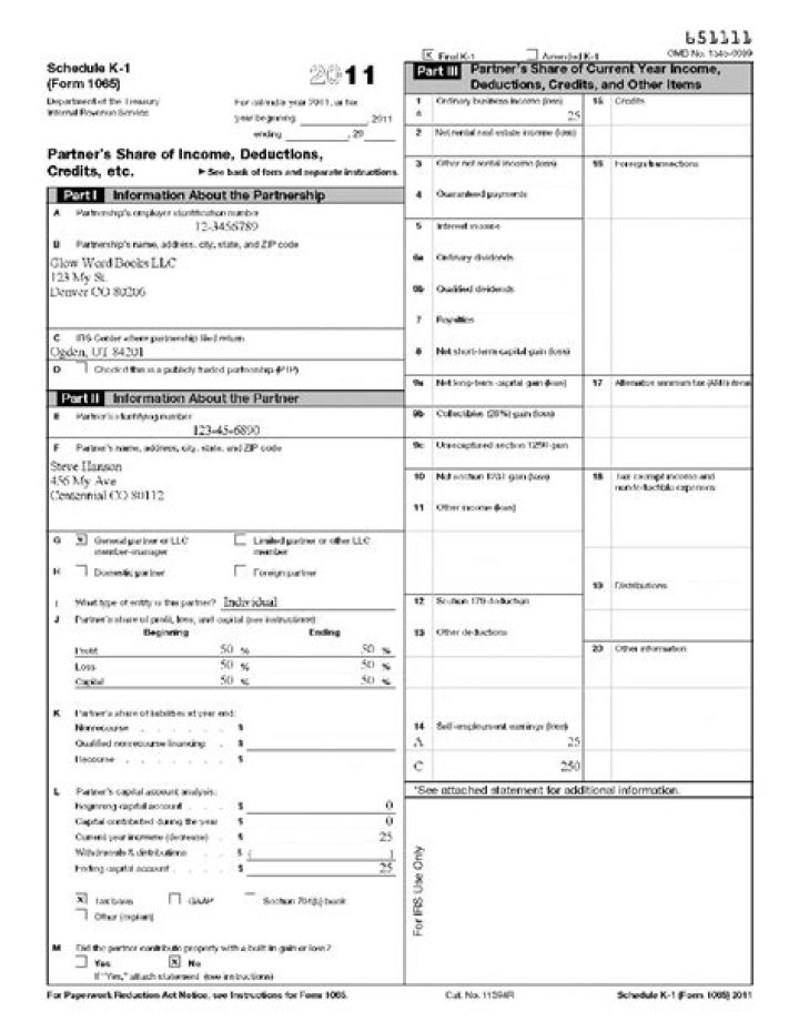 Do you have to file a K-1 with a LLC?