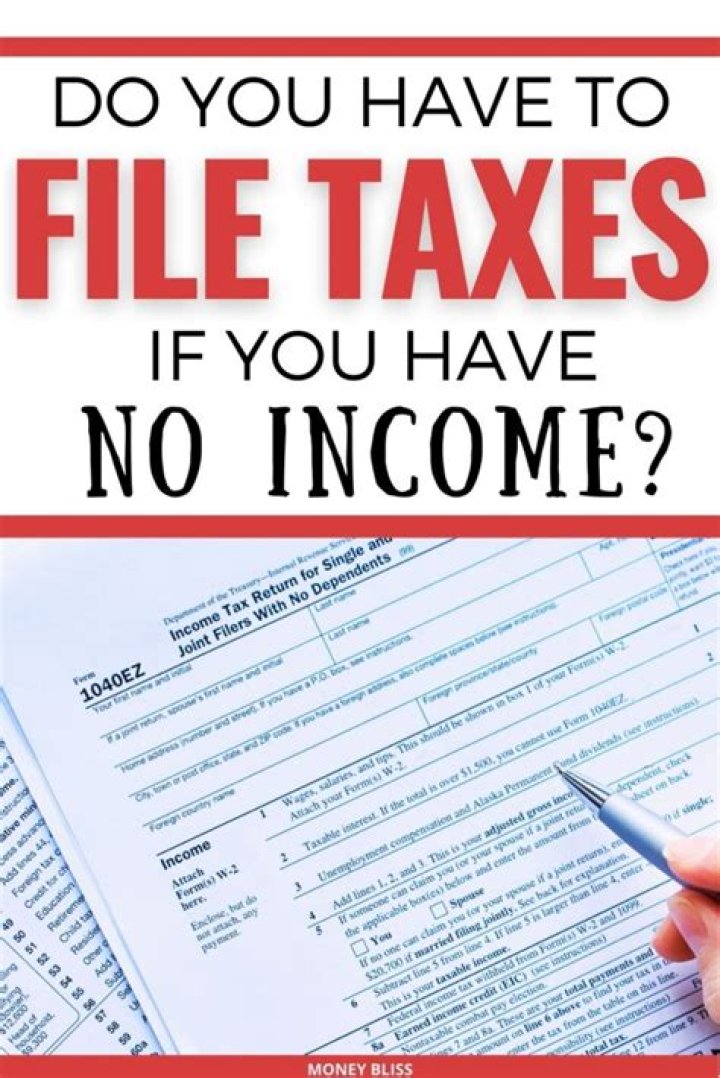 Do you have to file taxes if your partnership has no income?