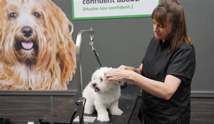 Do you need a license to be a pet groomer in PA?