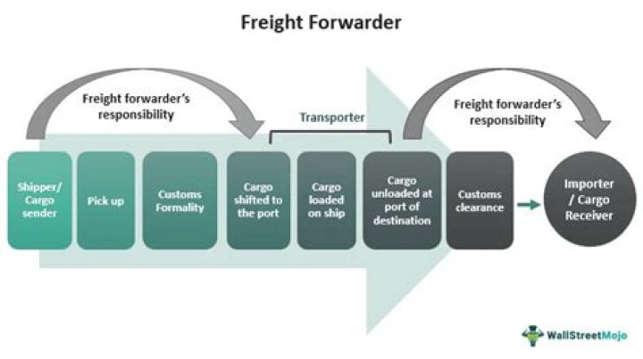 Does a freight forwarder need a college degree?