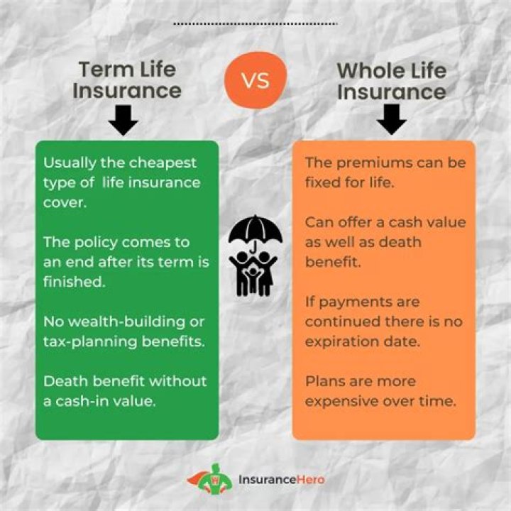 Does a term life insurance policy have cash value?