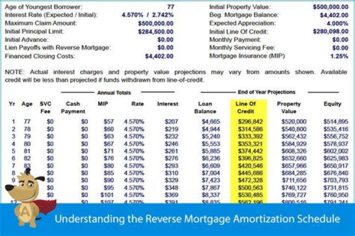 Does amortization get added back?
