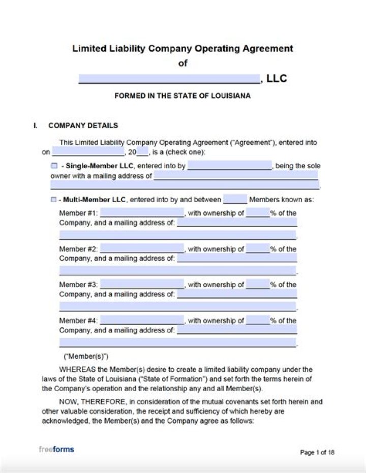 Does Georgia require an operating agreement for an LLC?