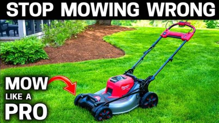 Does HOA mow your lawn?
