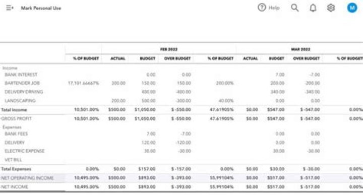 Does QuickBooks report income?