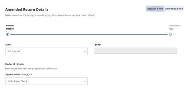 Does TaxSlayer Efile amended return?