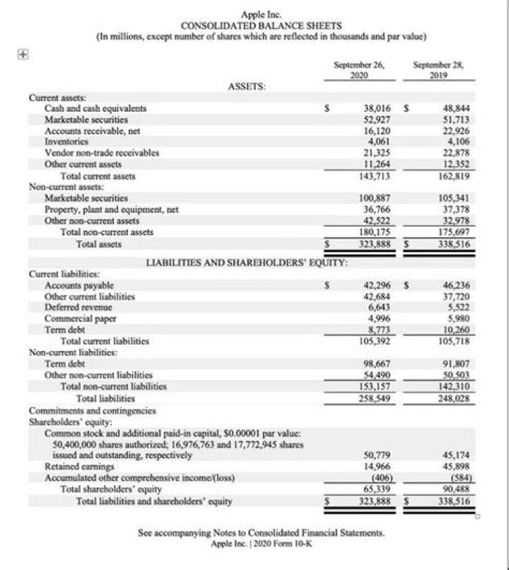 How are profits distributed to shareholders?