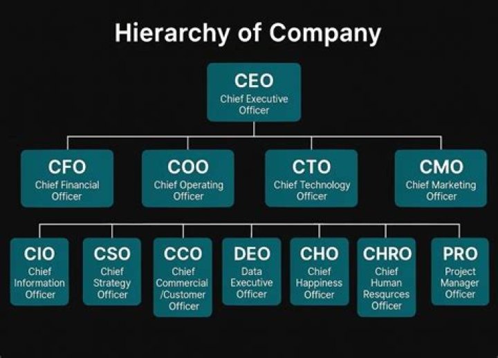 How can a CEO improve a company?