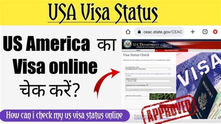 How can I check my F-1 visa status?