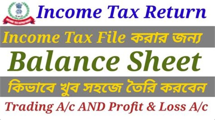 How can I check my income tax balance?