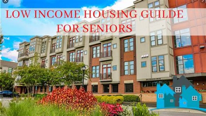 How can I help a senior with no income?