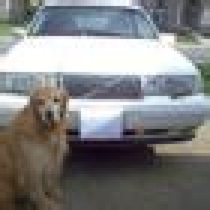 How can I recover a deleted tax return?