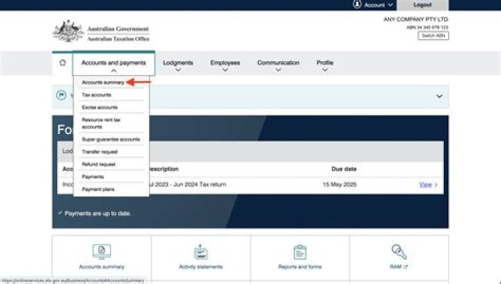 How can I view my online tax account?
