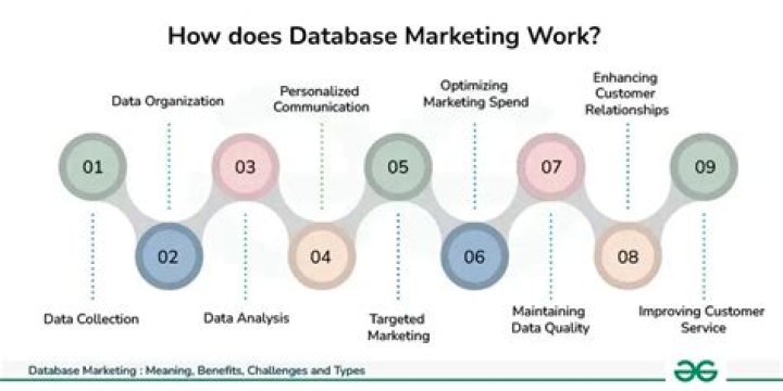 How database marketing helps organization improve their market share?
