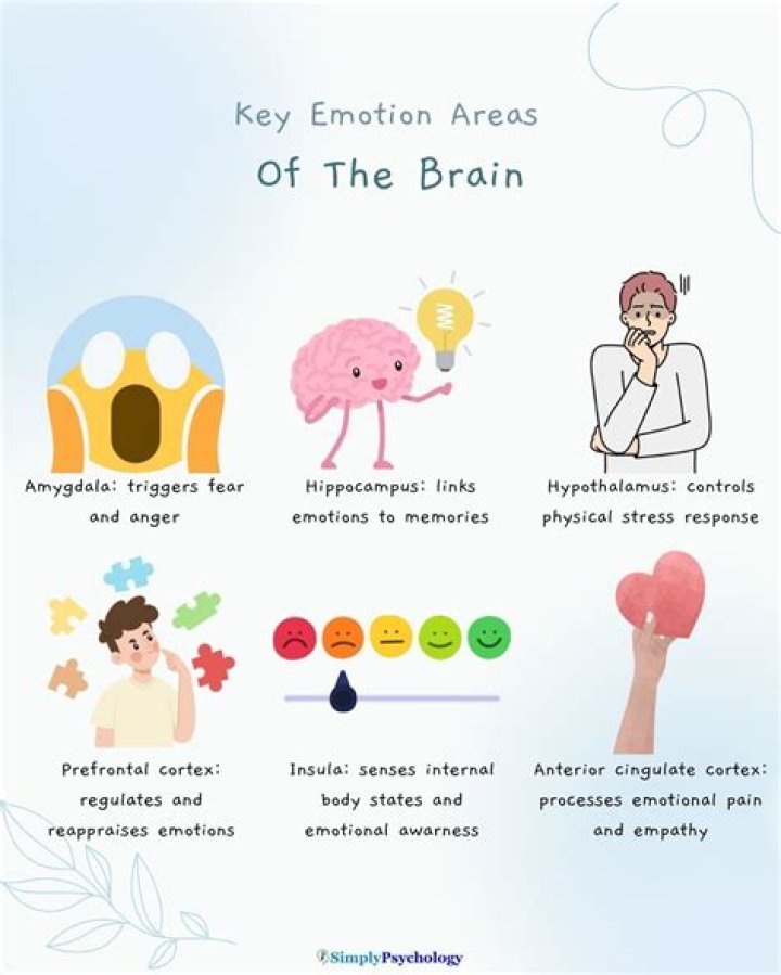 How do emotions affect trade?