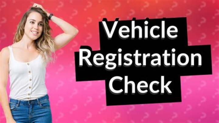 How do I check the status of my vehicle registration in Texas?