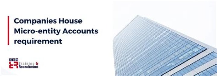 How do I file a micro entity account with HMRC?