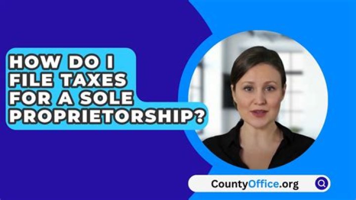 How do I file taxes as a sole?
