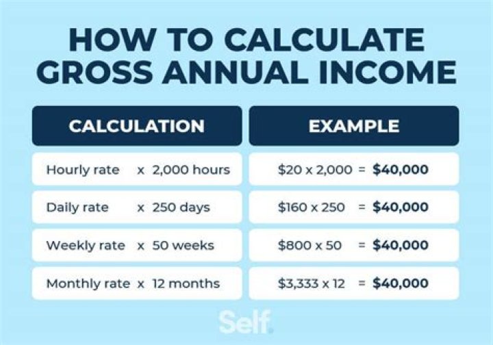 How do I find my annual gross income from last year?