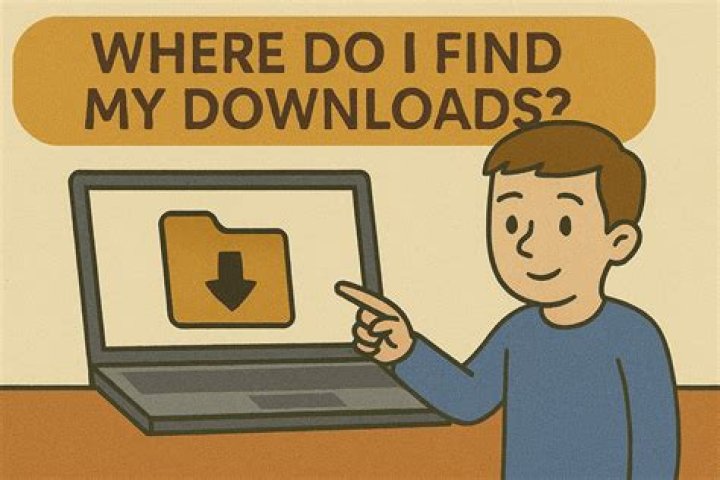 How do I find my CMS data?