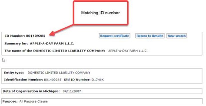 How do I find my entity identification number?