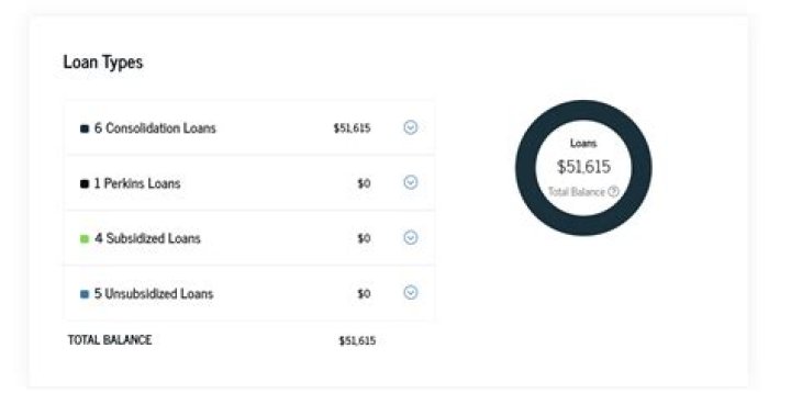 How do I find out my student loan information?