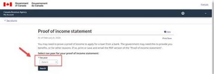 How do I get proof of income from IRS?