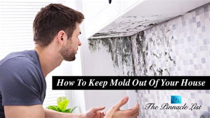 How do I keep mold out of my summer house?