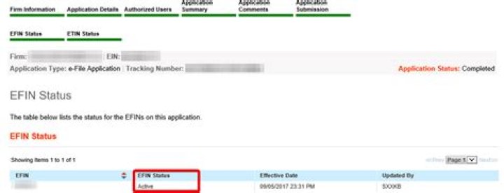 How do I know if my EFIN is active?