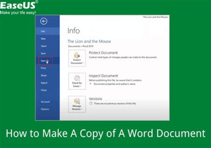 How do I make a copy of my accountant?
