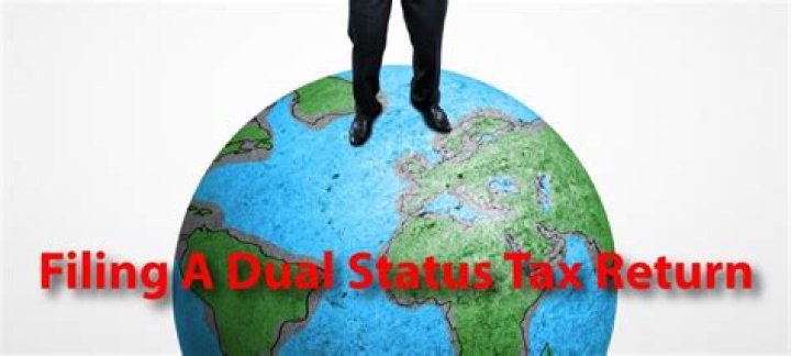 How do I make a dual status return?