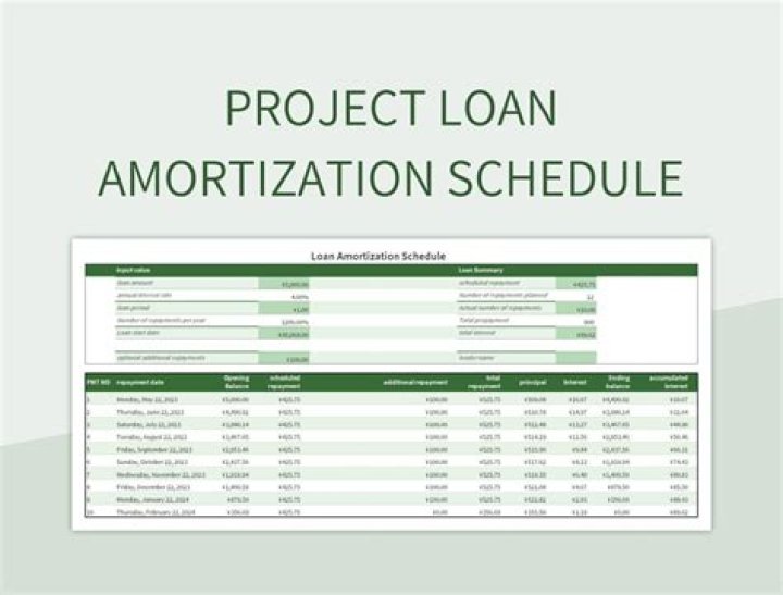 How do I make a project loan?