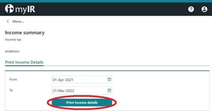How do I print my IRD tax summary?