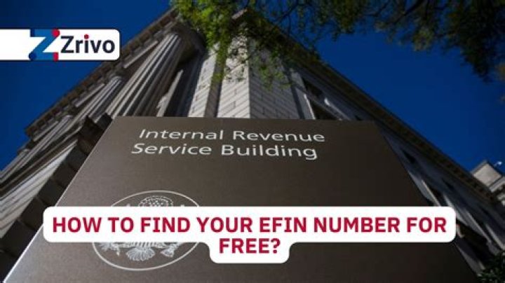 How do I renew my EFIN number?