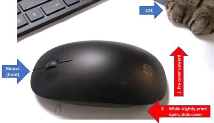 How do I reset my HP wireless mouse?