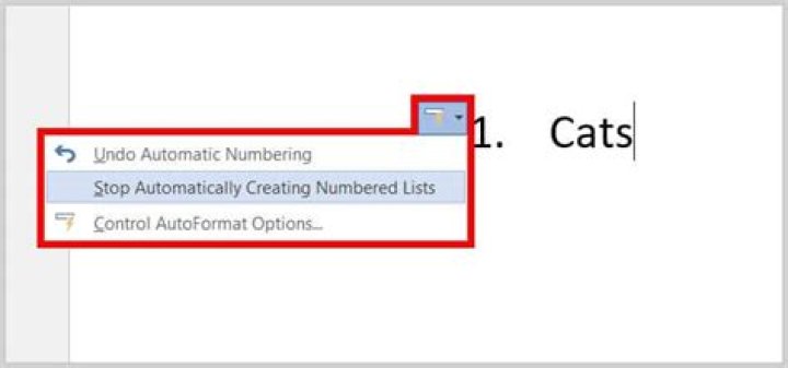 How do I set up automatic numbering in Word?
