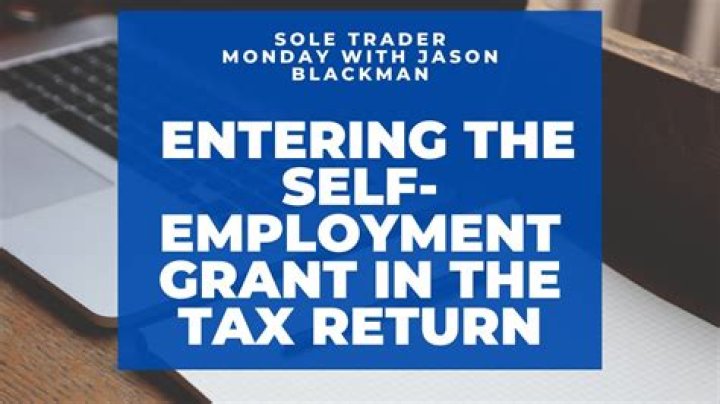 How do I show SEISS on my tax return?