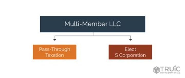How do multi member LLCS get paid?