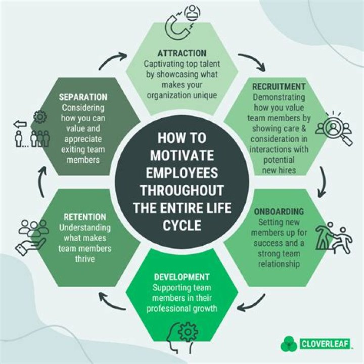 How do organizations motivate their employees?