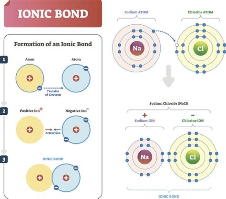 How do serial obligation bonds differ from most other bonds?