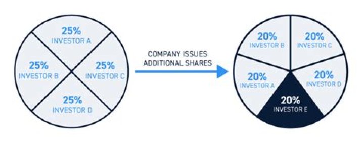 How do shares work in an S Corp?