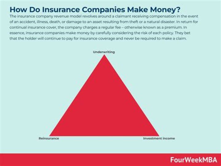 How do small insurance companies make money?
